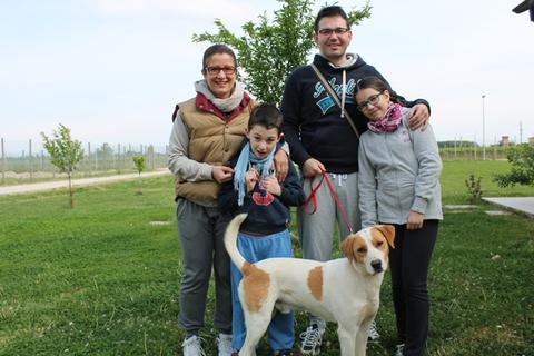 Brio e la sua nuova famiglia